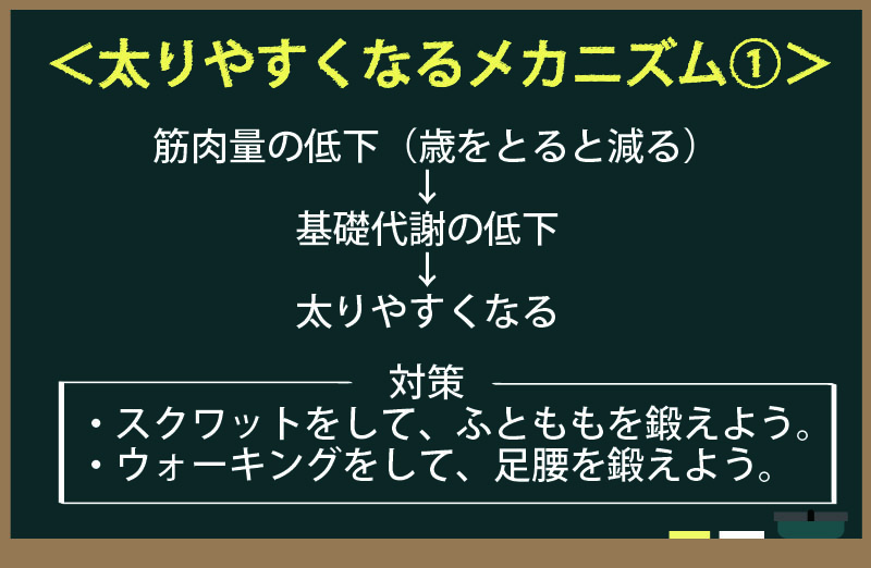 太りやすくなるメカニズム1