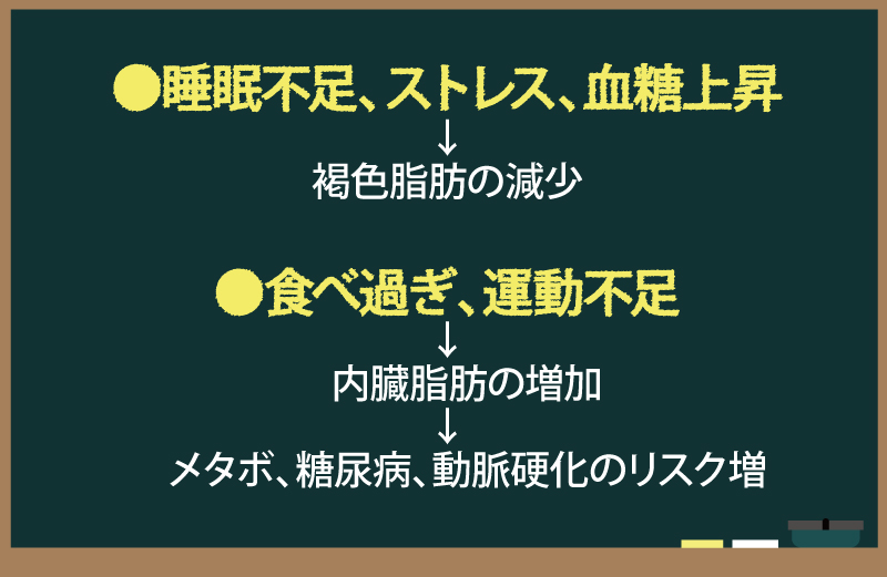 褐色脂肪の減少