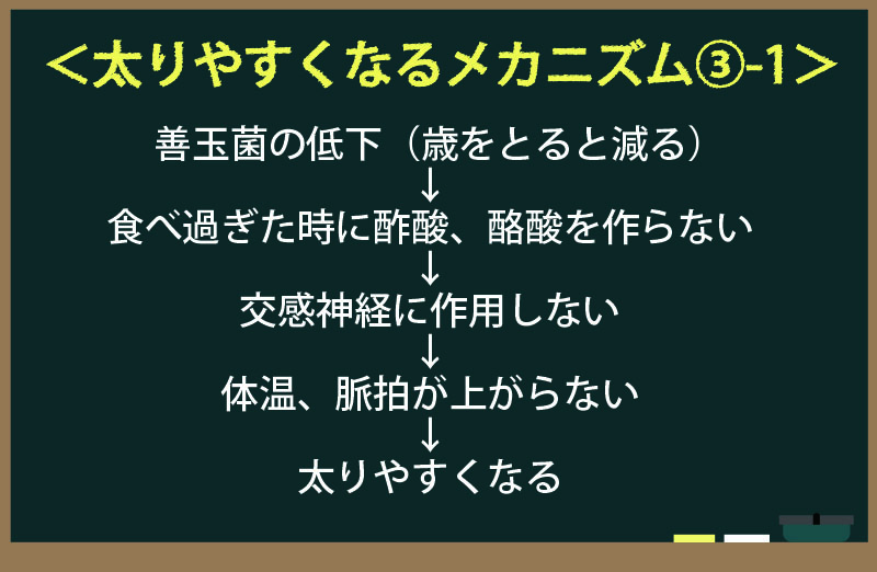 太りやすくなるメカニズム3-1