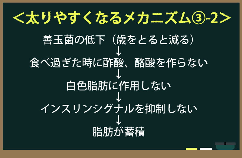 太りやすくなるメカニズム3-2