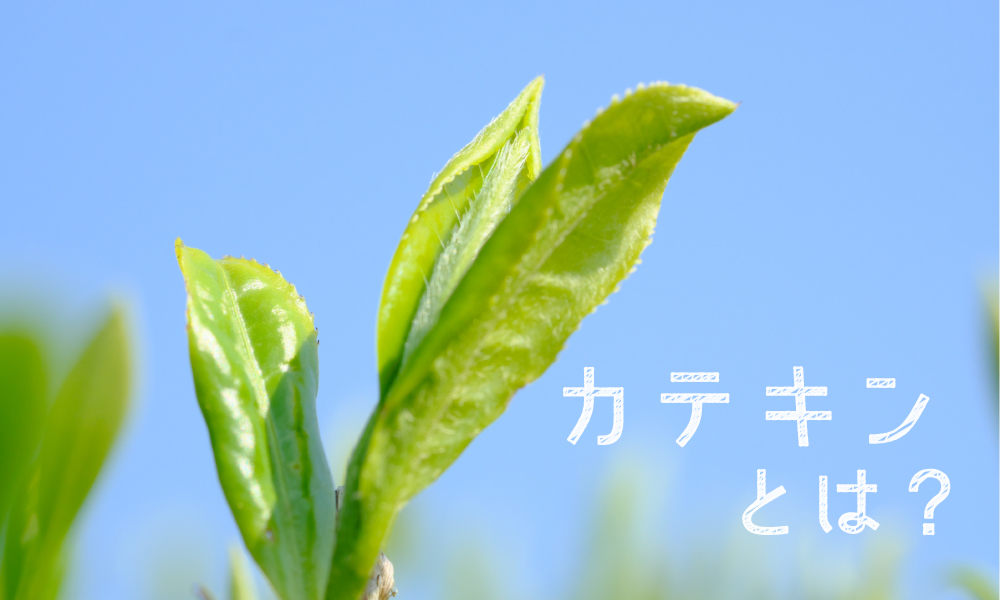 あなたはｼｬﾜｰ派？お風呂派？