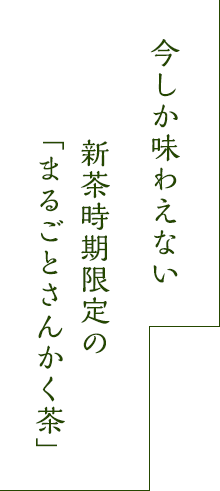 新茶おすすめ② 今だけの新茶入り「まるごとさんかく茶」