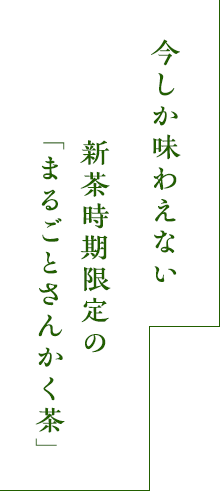 新茶おすすめ② 今だけの新茶入り「まるごとさんかく茶」