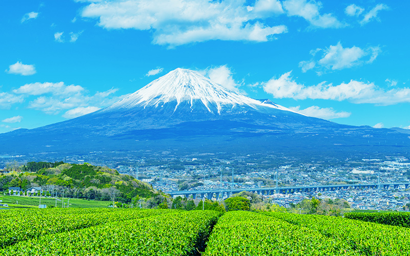 富士山の写真