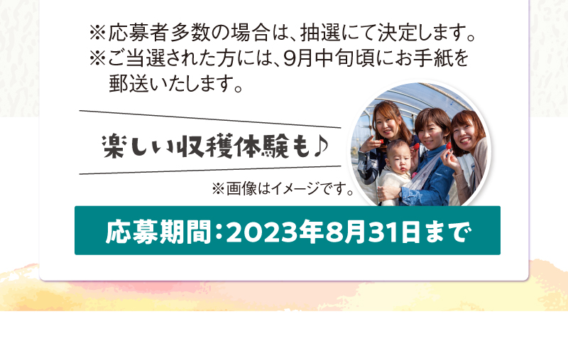 応募期間：2023年8月31日まで