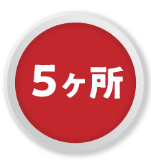5個