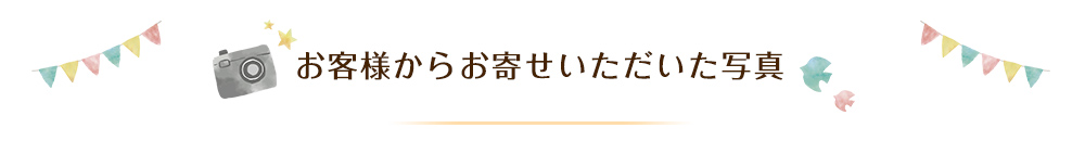 お客様からお寄せいただいた写真