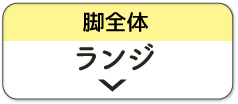 ランジ