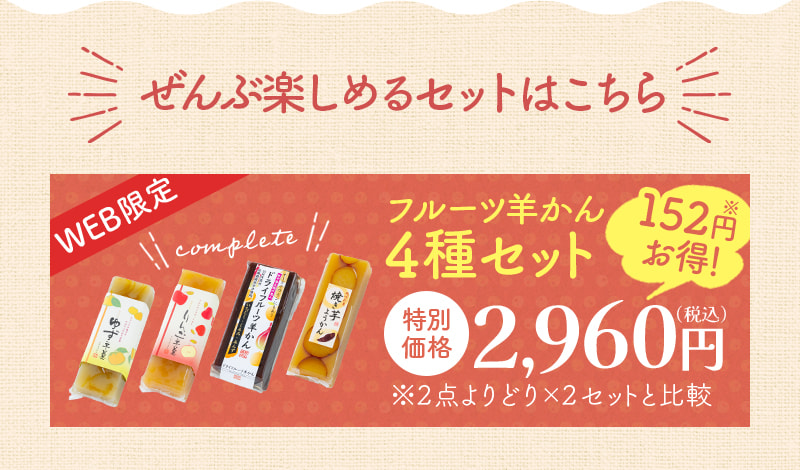 【WEB限定】お得な全4種セットはこちら